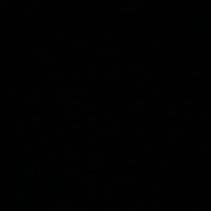 Meet your Posher, Noel